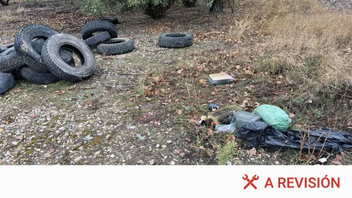 Cambiar el aceite al coche tú mismo está bien. Tirarlo al campo te puede costar una multa de un millón de euros