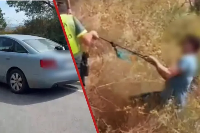 Hace un 'simpa' en una gasolinera en Cáceres, le persigue la Guardia Civil durante 100 km y le acaban rescatando de unas zarzas