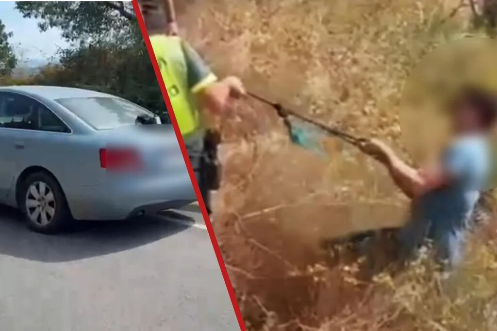 Hace un 'simpa' en una gasolinera en Cáceres, le persigue la Guardia Civil durante 100 km y le acaban rescatando de unas zarzas