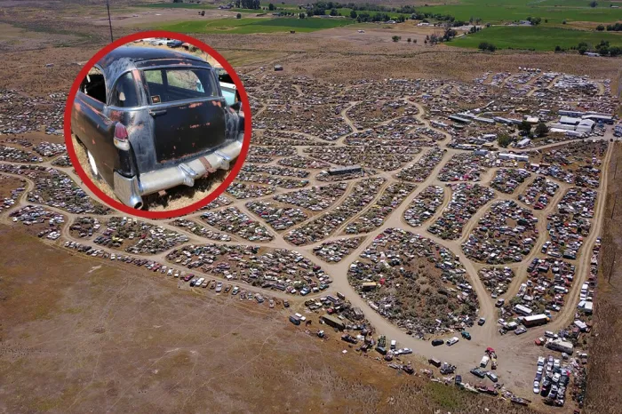 Nadie sabe exactamente qué hay aquí dentro: el gigantesco cementerio de coches clásicos que ocupa 90 campos de fútbol