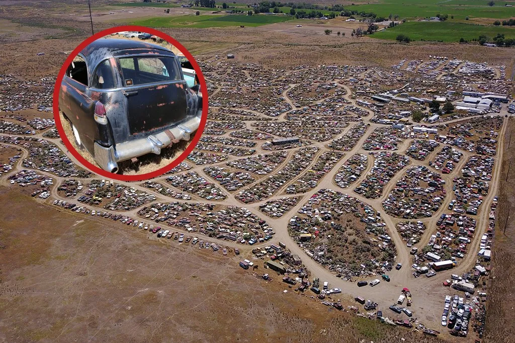 Nadie sabe exactamente qué hay aquí dentro: el gigantesco cementerio de coches clásicos que ocupa 90 campos de fútbol