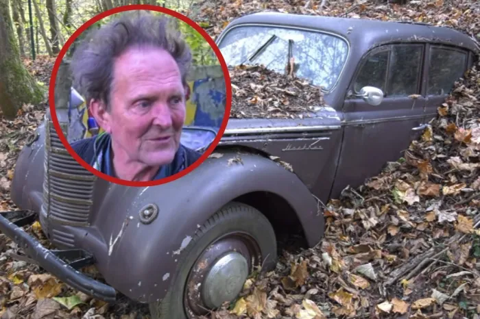 Un millonario tiró 50 Porsche, Mercedes y Rolls-Royce clásicos en un bosque para que se pudrieran. Ahora son “obras de arte” por las que cobra un pastizal